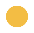 Fundacja Nastolatki logo kolo zolte wypelnione